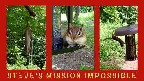 Steve's Mission Impossible / The Adventures of Steve the ...