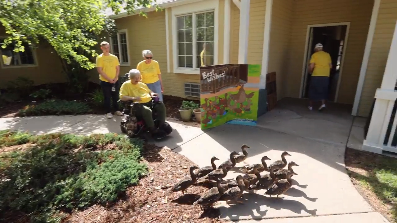 Baby ducks bring joy to Kansas nursing home residents Wichita Eagle