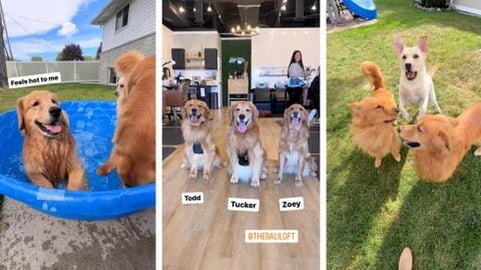 We went to the salon