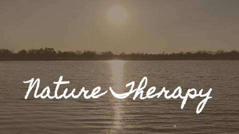 A Walk In The Park During Sunset | Walk Along A Pond | Ce...