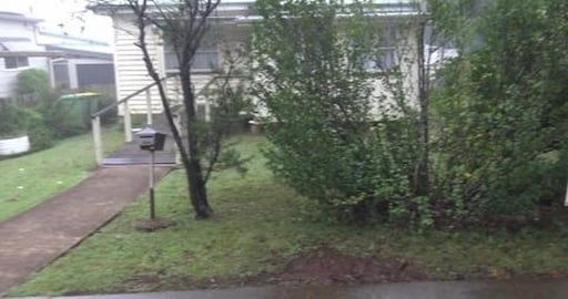 Huskies have a long foggy walk to visit a Golden Retrieve...