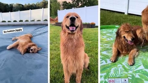 Da Hekk is a Sploosh Pood?