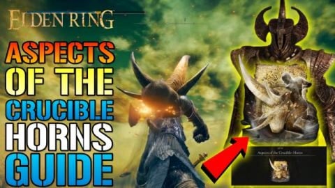 Elden Ring: Aspects Of The Crucible Horns! Incantation IS...