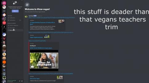 I GOT ACCESS TO THAT VEGAN TEACHERS DISCORD SER...