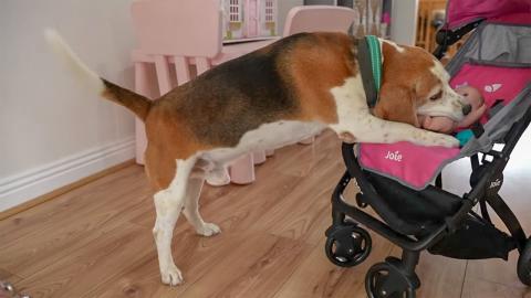 charlie helps bath baby