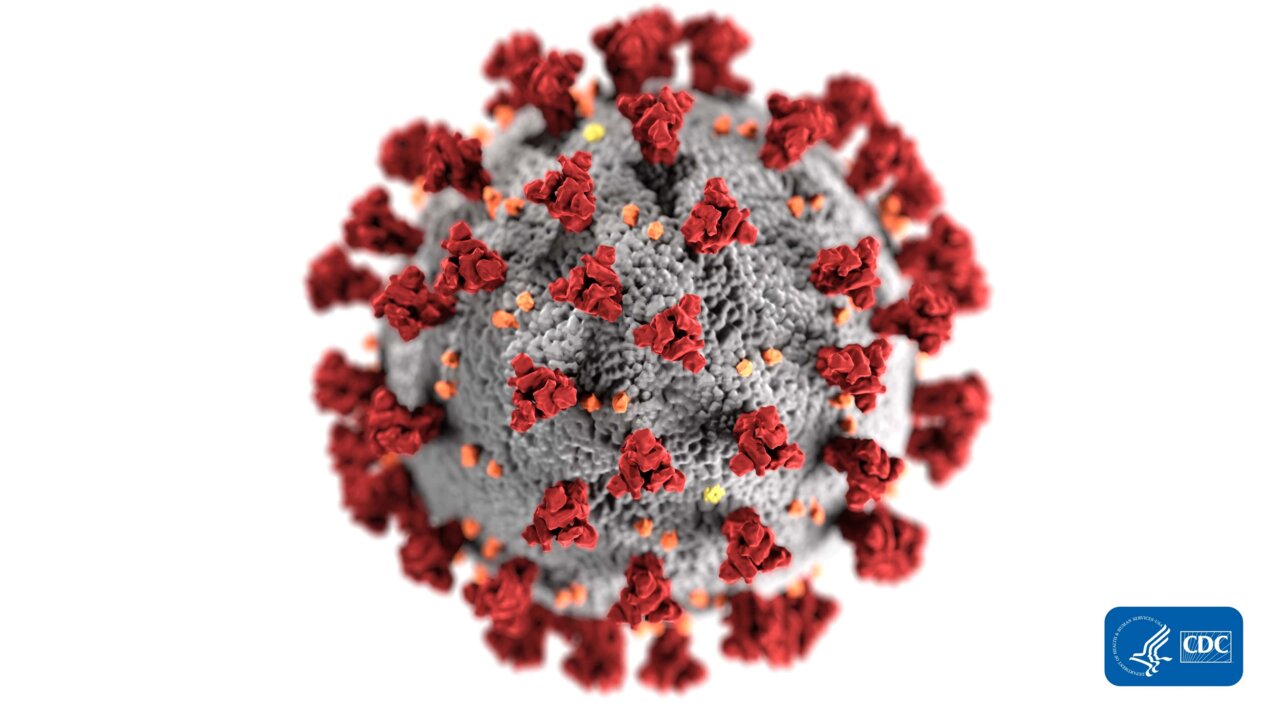 Definitions Of 11 Coronavirus Terms In The COVID 19 Pandemic