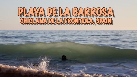 Percy the Labrador at La Barrosa Beach, Chiclana de la Fr...