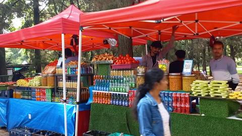 Various Stalls At Lalbagh Flower Show | Bengaluru | Karna...