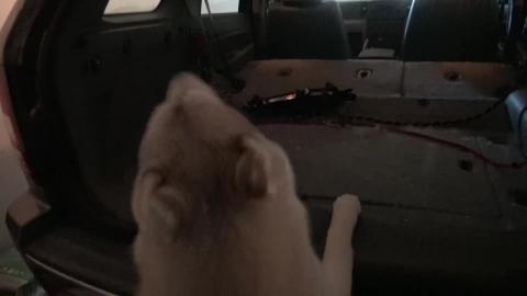 2005-2011 Jeep Grand Cherokee accessing the spare wheel