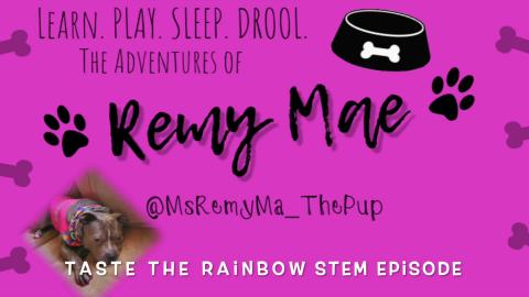 Scientific Power of Water | Remy Mae Tastes The Rainbow!