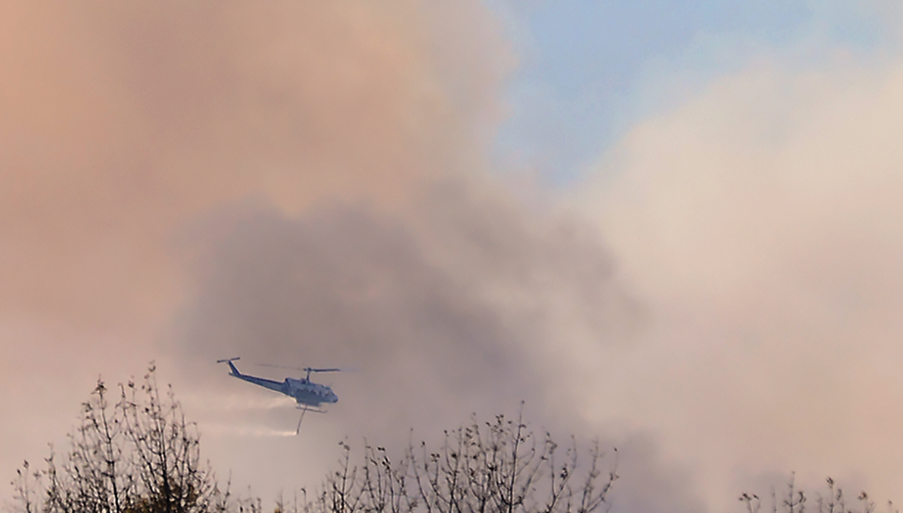 Thurston County under summer burn ban to prevent fires The Olympian