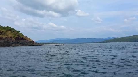 In Search of Dolphin | Arabian Sea