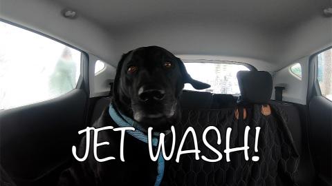 Percy the Labrador visits the Jet Wash