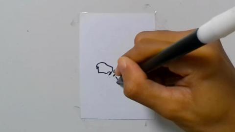 Drawing tatto v51 2024 shorts