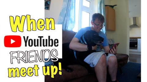 Percy the Labrador meets his Pal in the UK