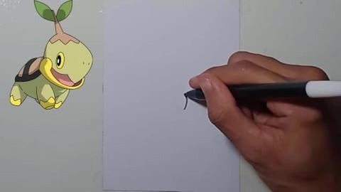Drawing Pokemon turtwig shorts