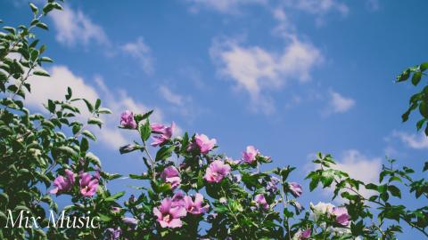 Flowers | Relax & Uplift with Mix Music