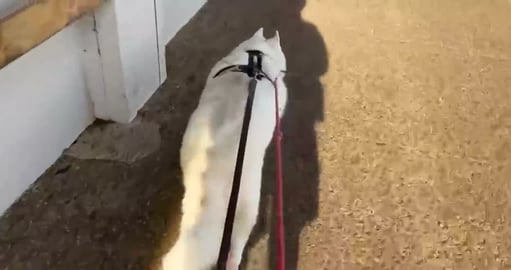 This is what our shopping centres or malls look like