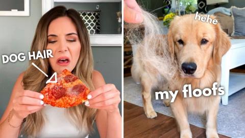 How I Deal With Dog Hair!