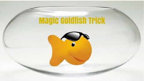Magic Goldfish Trick