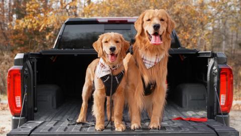 It Was a Park, Car Wash, and Bath Day