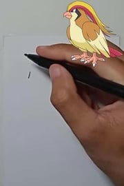 Drawing Pokemon PIDGEOT