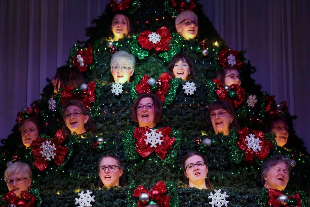 Living Christmas Tree TriCity Herald