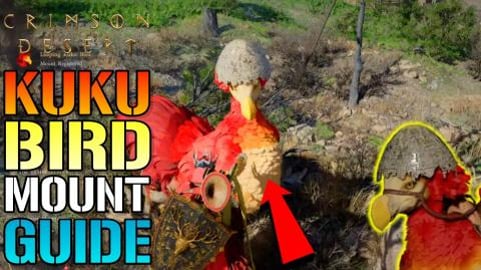 Crimson Desert: EASY "Kuku Bird Mount" Guide! How To Get ...