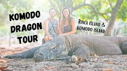 Komodo Dragon Tour on Komodo Island and Rinca Island