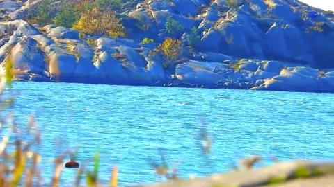 Nikon COOLPIX P1000 Zoom Test