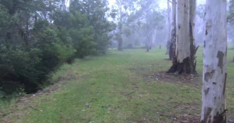 It was raining but not enough to stop us from walkies