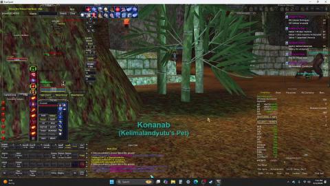 Everquest : The Stonecarver