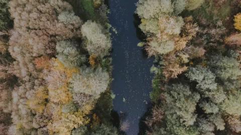 relaxing sounds of rivers beautiful meditation music na...