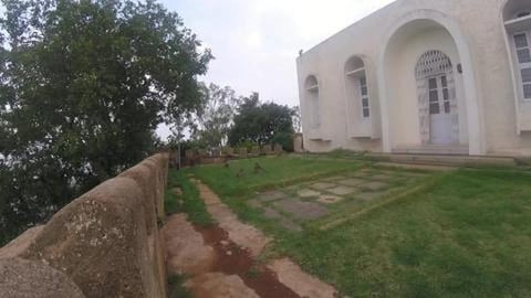 WWE Wrestling of Monkeys | Nandi Hills, Bengaluru