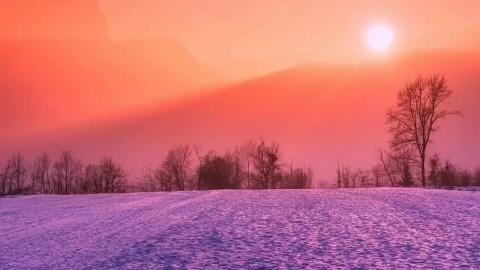 10 Minutes Meditation-Relaxing 2026 YOGA
