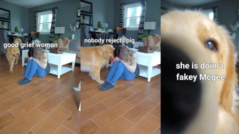 Funny Puppy Reaction to Me Crying - Prank