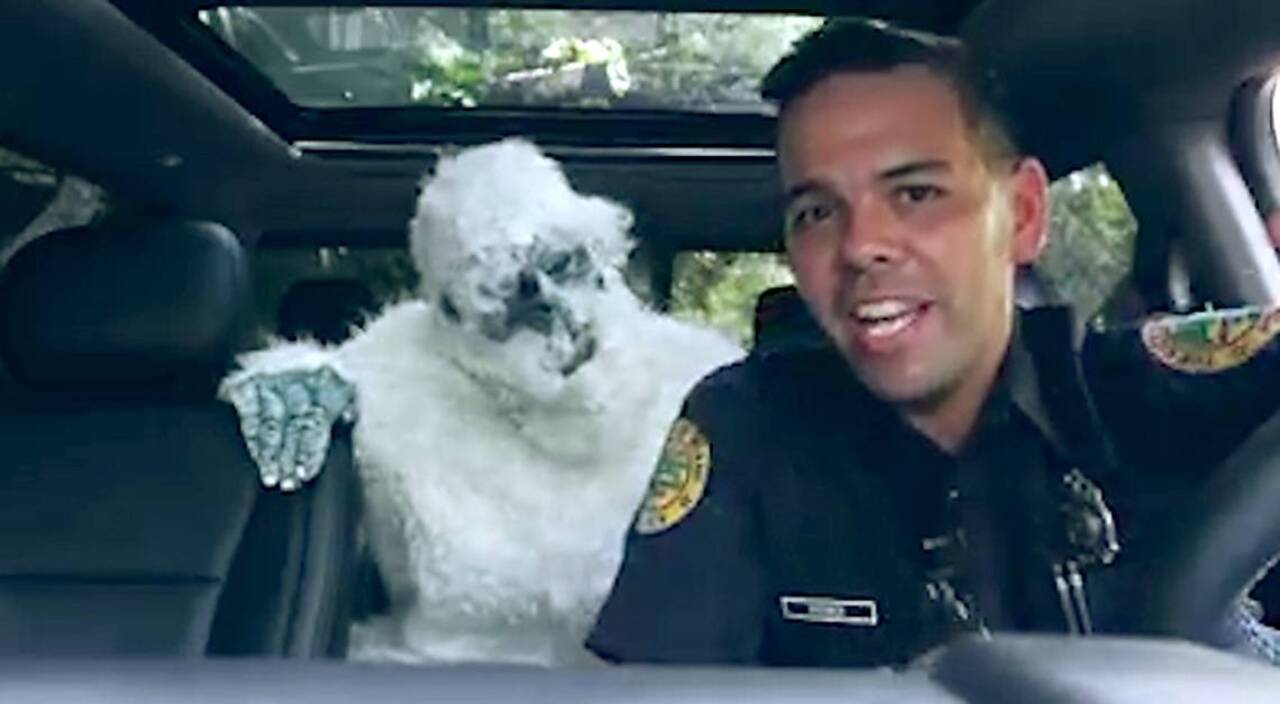 Yeti Miami’s new KRAPPY antitheft program announced Miami Herald