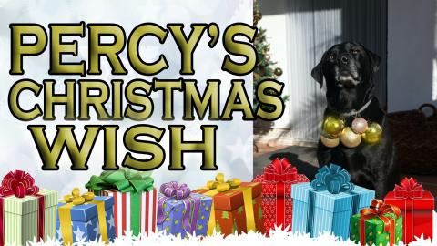 Our Dogs Christmas Wish