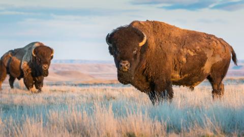 Mix Music: #5 – (Romantic Dinner - Smooth Jazz)