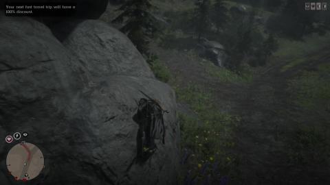 Red Dead Online Gameplay 999