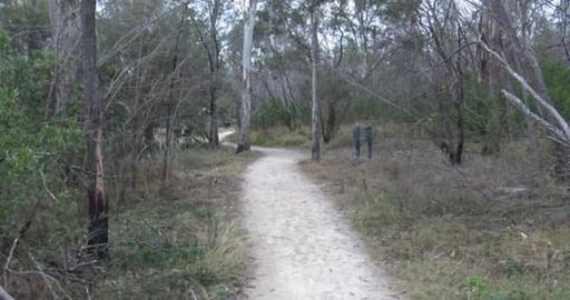 Huskies not allowed in National Parks, we met camels inst...