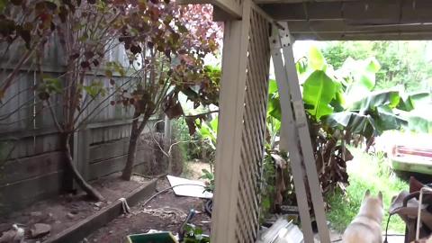 Chilly day, going bananas and bird watching with a Malamu...