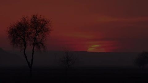 WELCOME TO BOTSWANA - Okavango Delta Flight & Rhino Sanct...