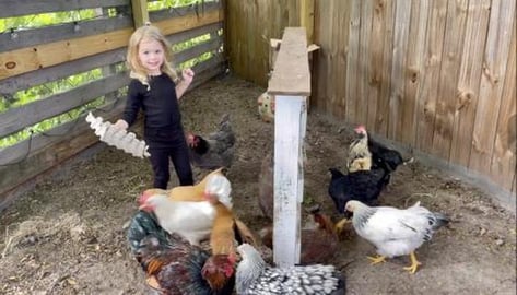 She’s Three and Insists on Feeding Her Chickens Live Cr...