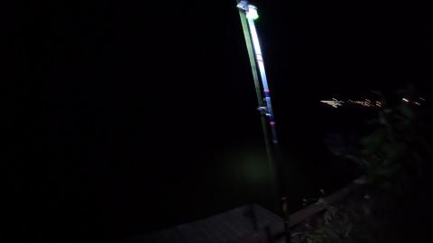 Fishing Time 542