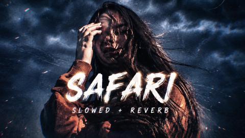 Safari- relaxing song videos- Flexx 2026-2026
