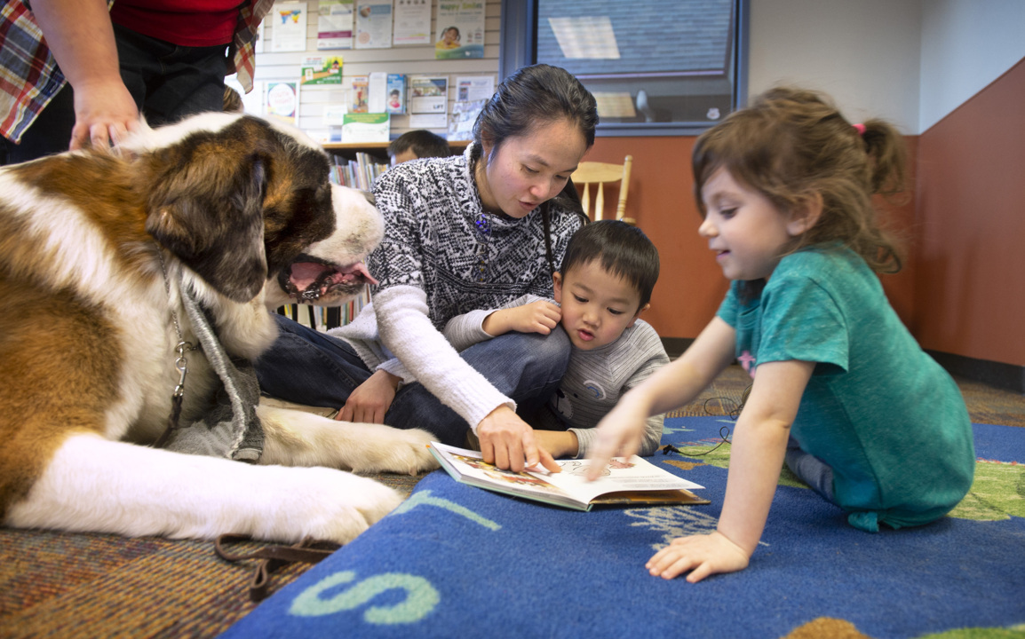 Westminster show dog Bruce the Saint Bernard gives kids a soft spot to ...