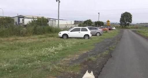 Stolen cars haven't moved in years