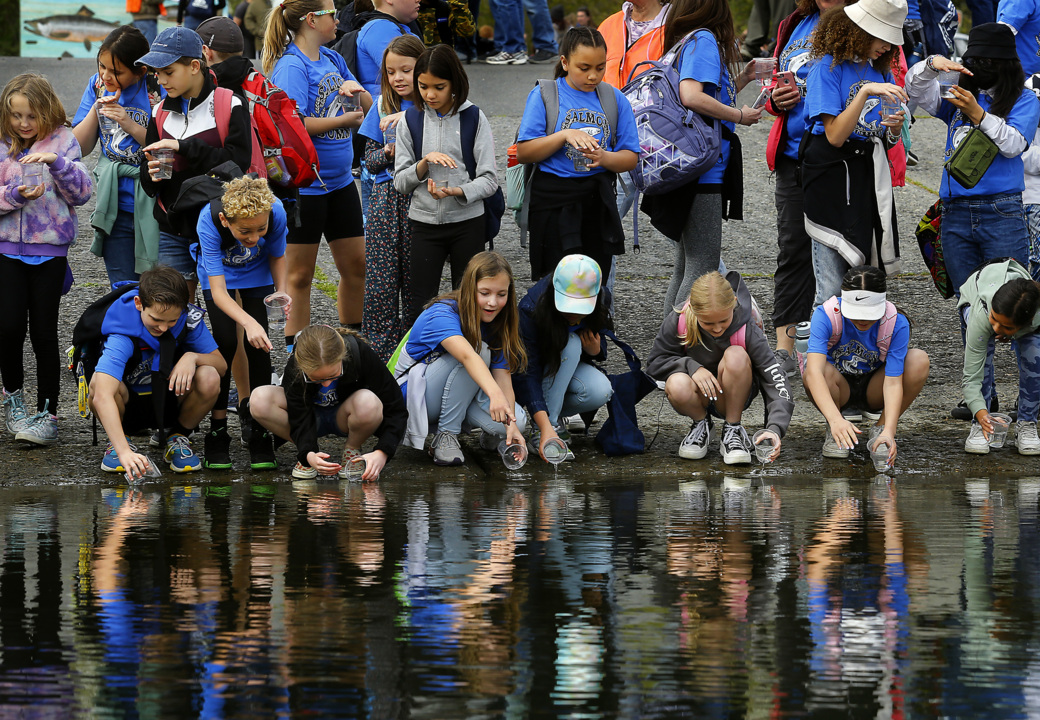 Elementary students release juvenile salmon during Benton Conservation