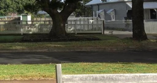 Visiting Sophie, Mack, Millie & Sasha, busy day